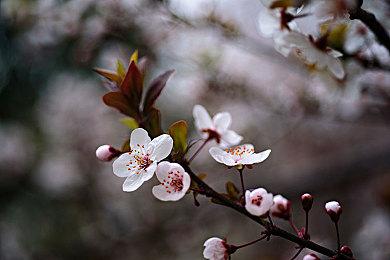 《极限国度》正式发售 官方发布新预告片